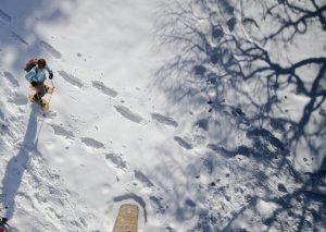 rutas guiadas raquetas de nieve
