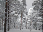 Rutas raquetas de nieve