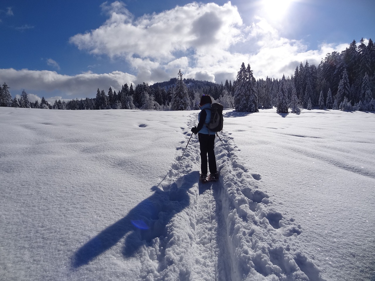 Ruta de Camino Schmidt con raquetas de nieve