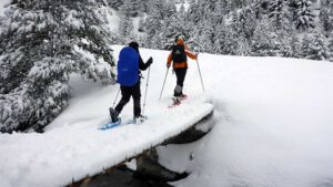 Nieve en Navacerrada y raquetas de nieve