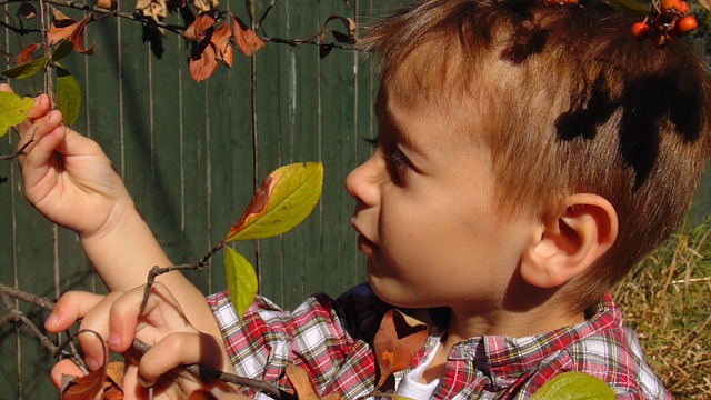 Actividades para infantil