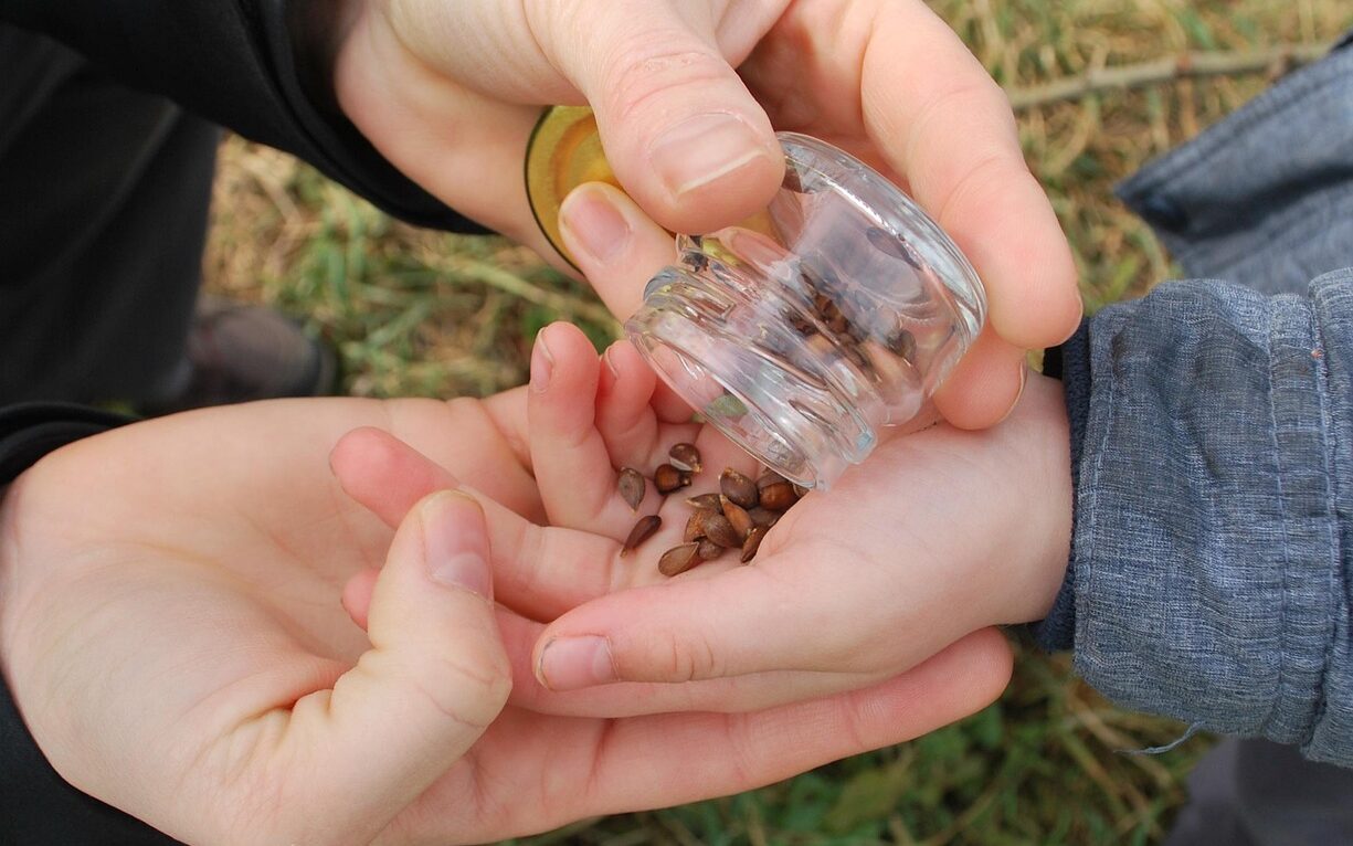 Excursiones escolares educativas